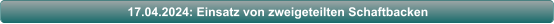 17.04.2024: Einsatz von zweigeteilten Schaftbacken