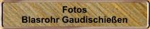 Fotos Blasrohr Gaudischie�en